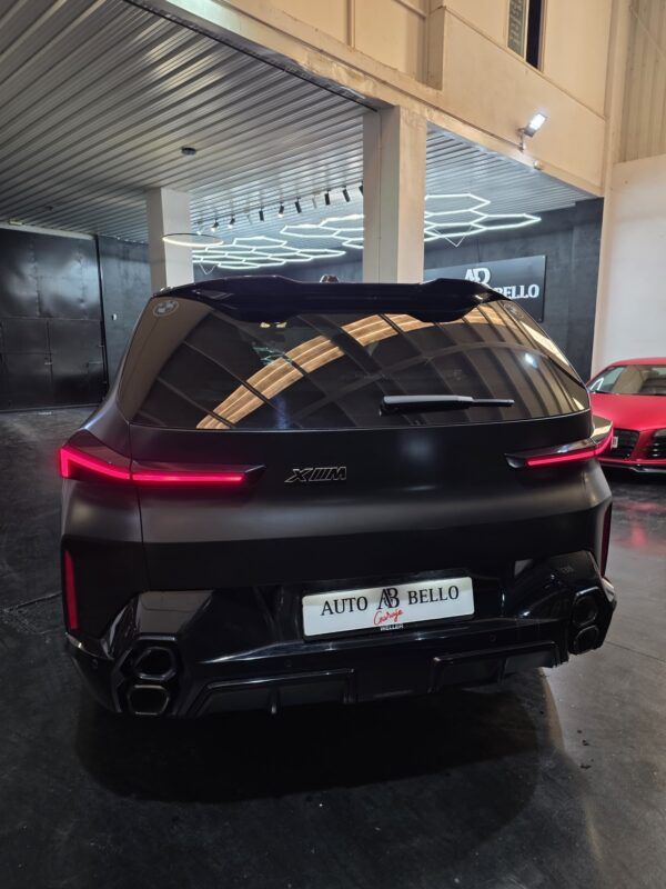BMW XM 480 kW (653 CV)