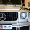Mercedes Clase G G 350 BlueTEC Largo